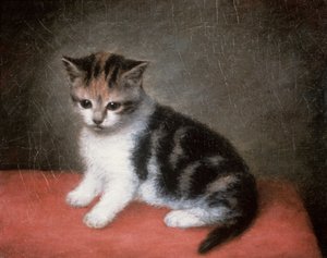 Il gattino di Miss Ann White, 1790